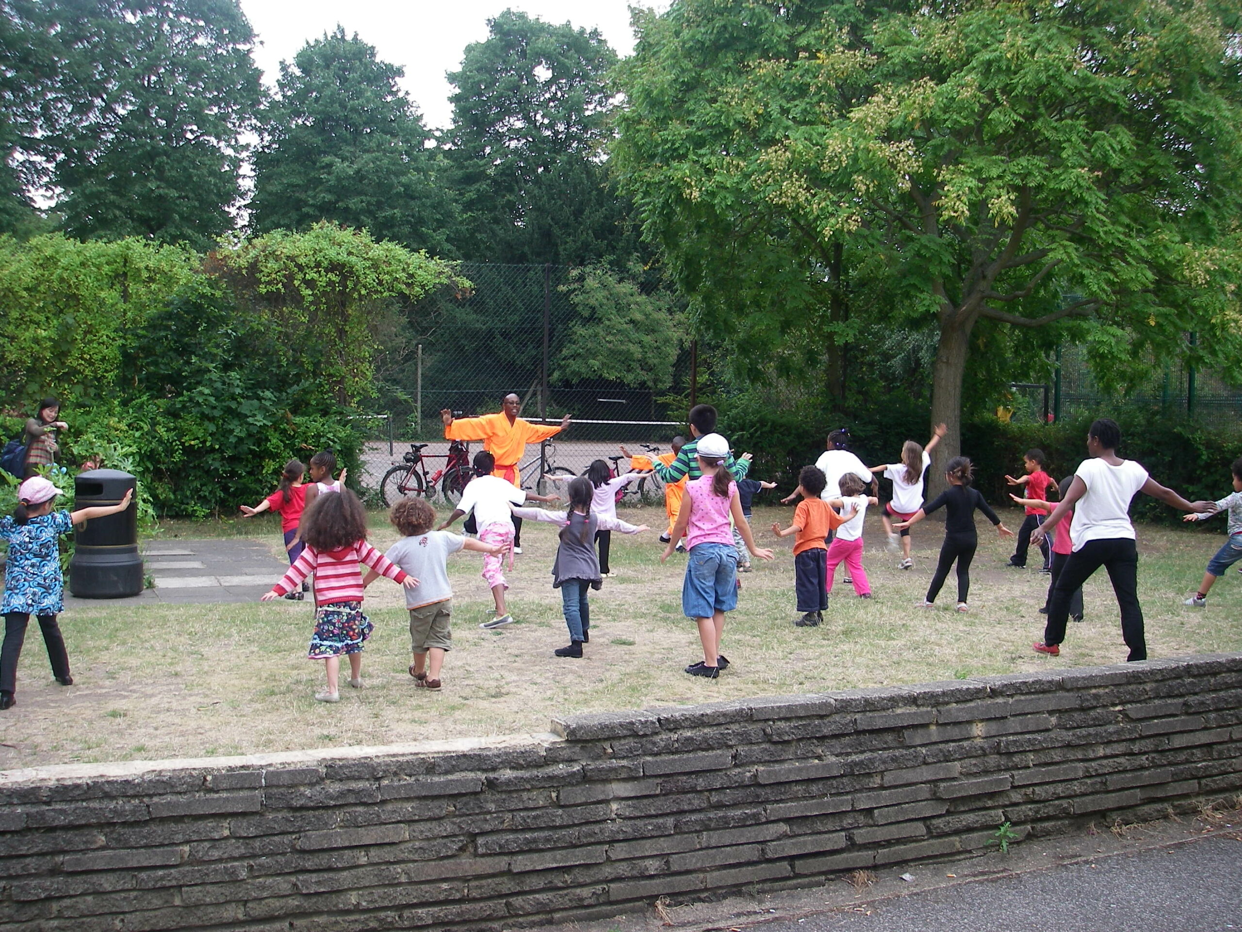 Fifty take part in Tai Chi in Lloyd Park